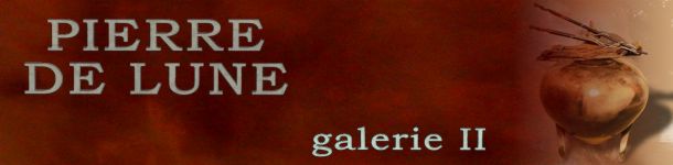 Pierre de Lune - galerie II
